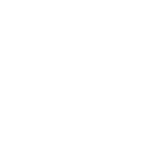 X (Twitter)